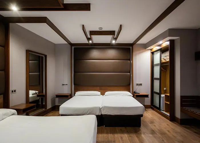 Hotel Centro Braseros Burgo